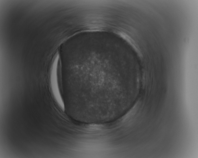 X0000088461449200706191320