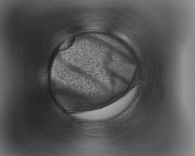 X0000088461450200706191320