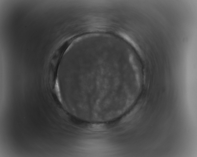 X0000088461453200706191320