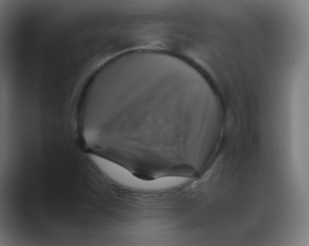 X0000088461455200706191320