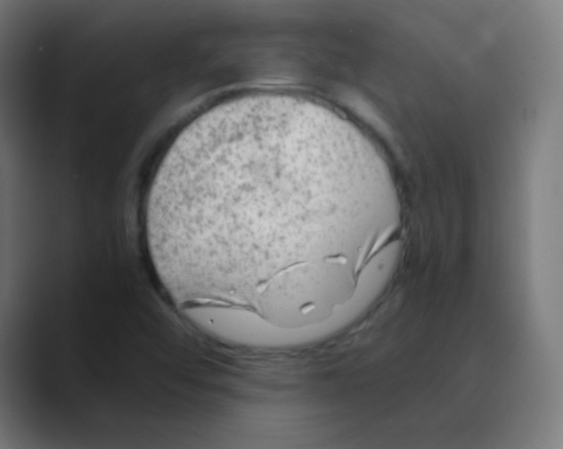 X0000088461456200706191320