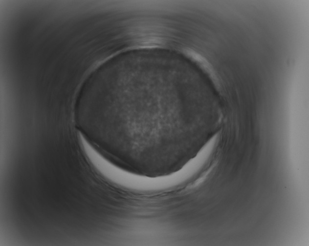 X0000088461457200706191320