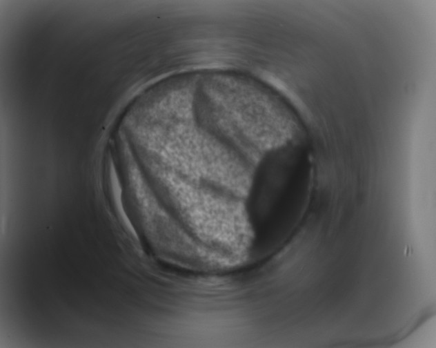 X0000088461459200706191320