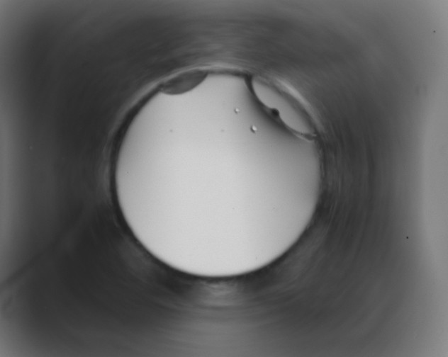 X0000088461460200706191320