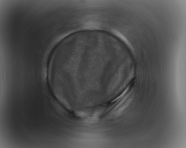 X0000088461461200706191320