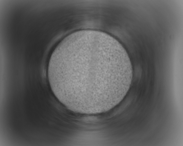 X0000088461462200706191320