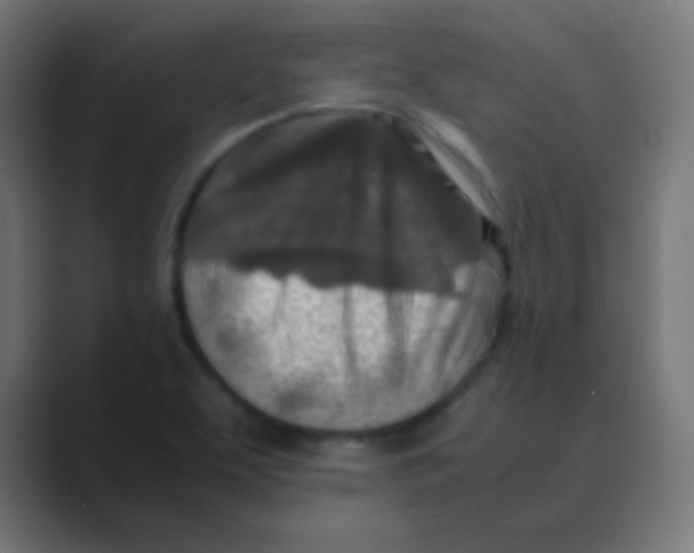 X0000088461463200706191320