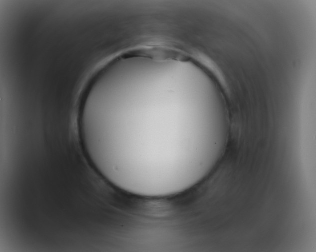 X0000088461464200706191320