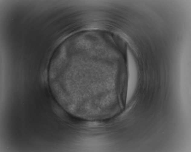 X0000088461465200706191320