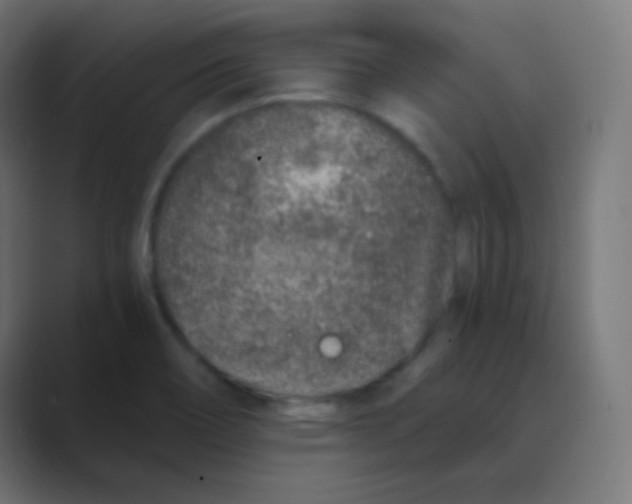 X0000088461466200706191320