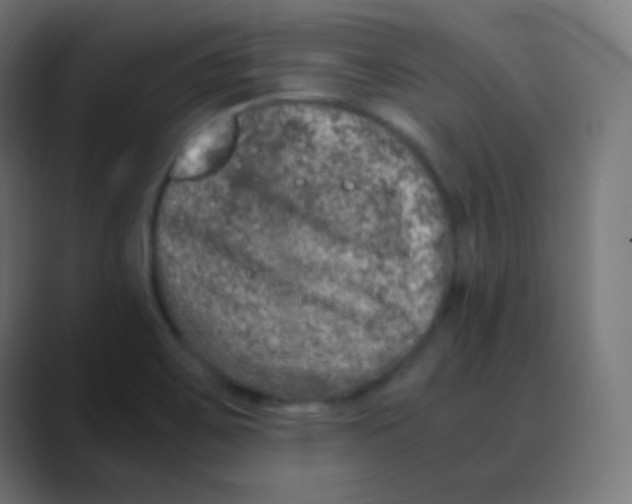 X0000088461467200706191320