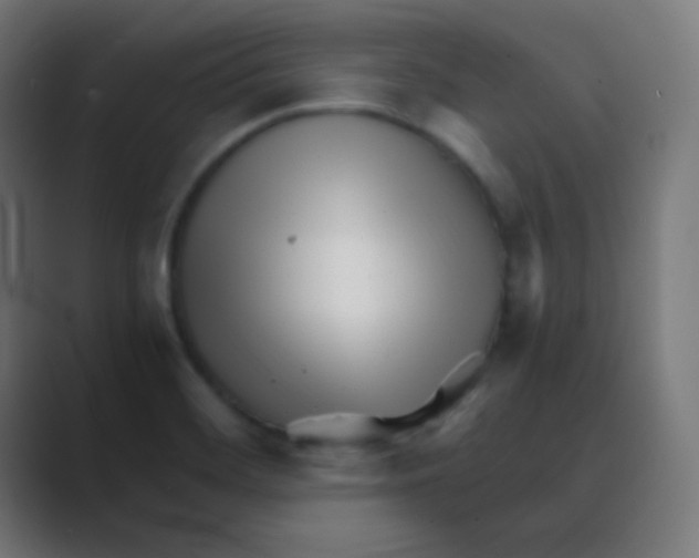 X0000088461468200706191320