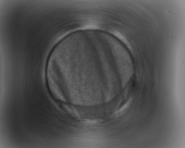 X0000088461469200706191320