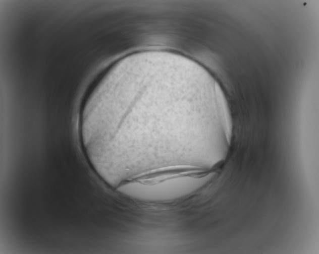 X0000088461472200706191320