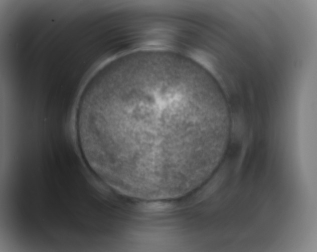 X0000088461474200706191320