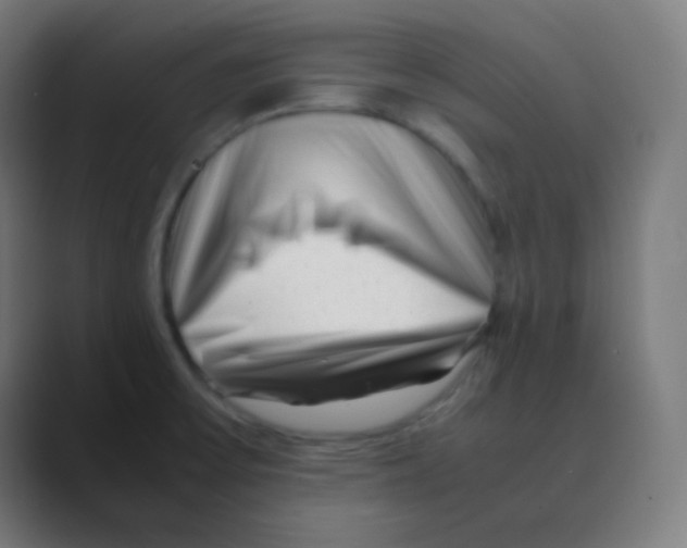 X0000088461475200706191320