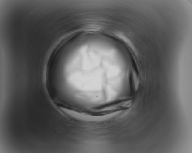 X0000088461477200706191320