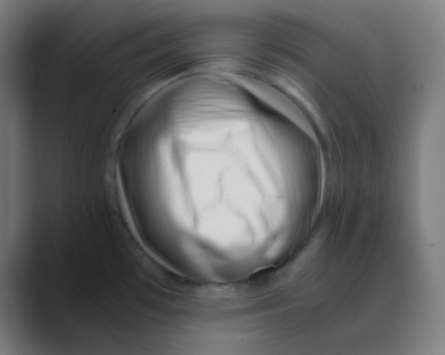 X0000088461481200706191320