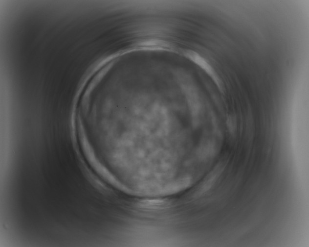 X0000088461482200706191320