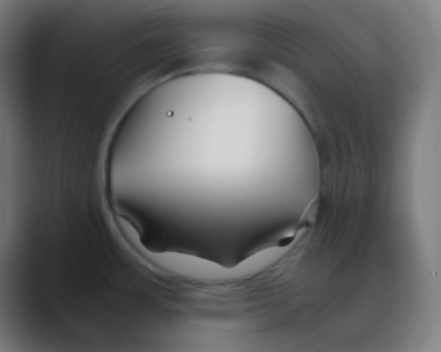 X0000088461483200706191320