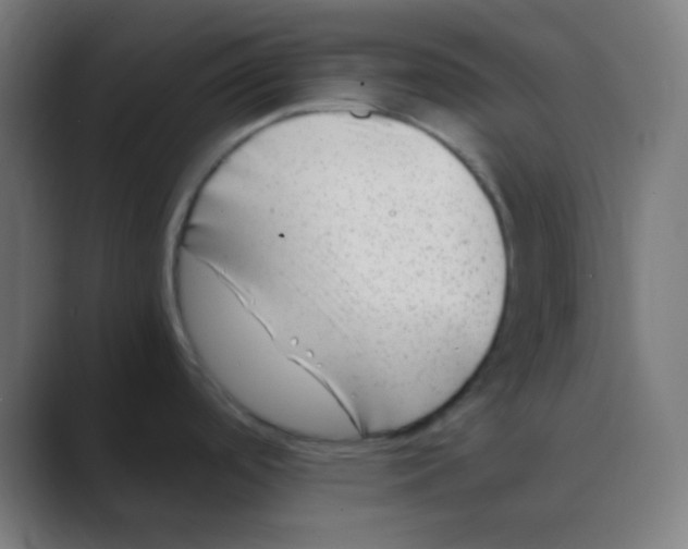 X0000088461488200706191320