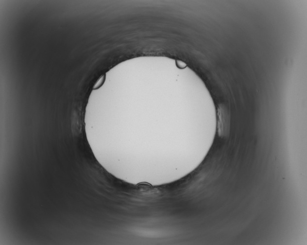 X0000088461491200706191319