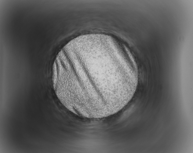 X0000088461494200706191319