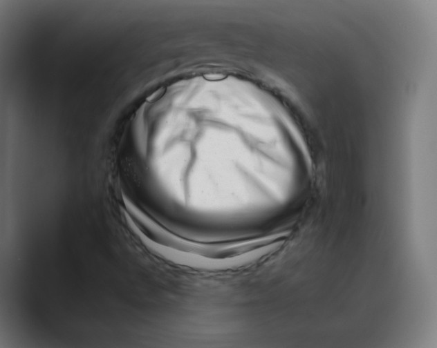 X0000088461496200706191319