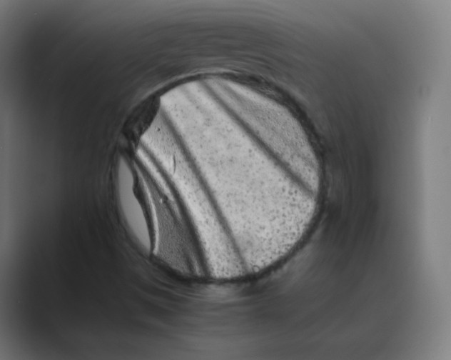 X0000088461497200706191319