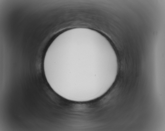 X0000088461499200706191320