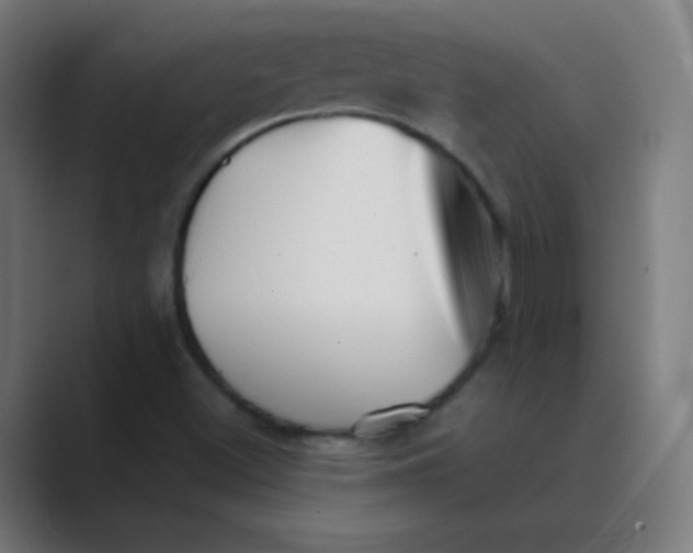 X0000088461500200706191320