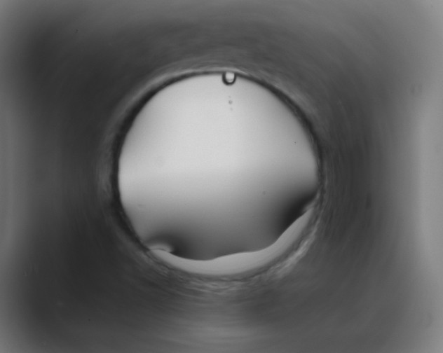 X0000088461502200706191320