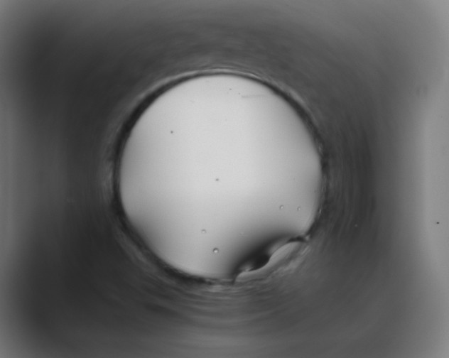 X0000088461503200706191320