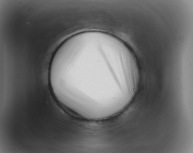 X0000088461504200706191320