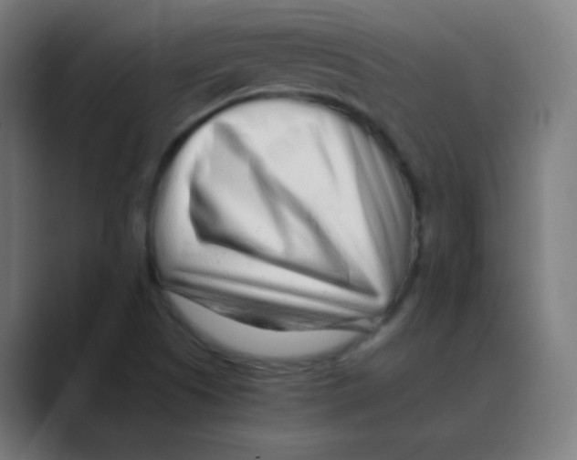 X0000088461505200706191320