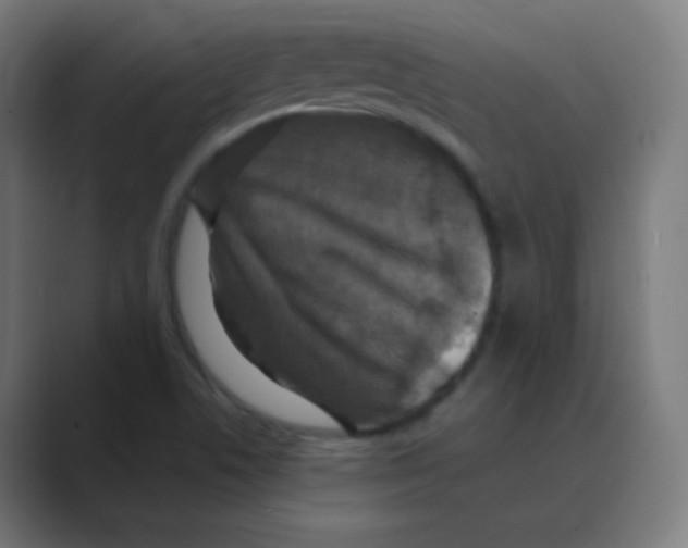 X0000088461506200706191320