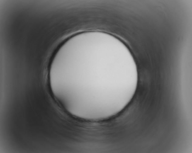 X0000088461507200706191320