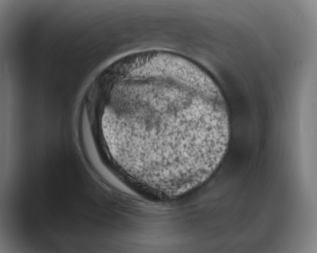 X0000088461508200706191320