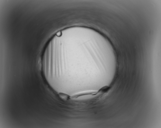 X0000088461509200706191320