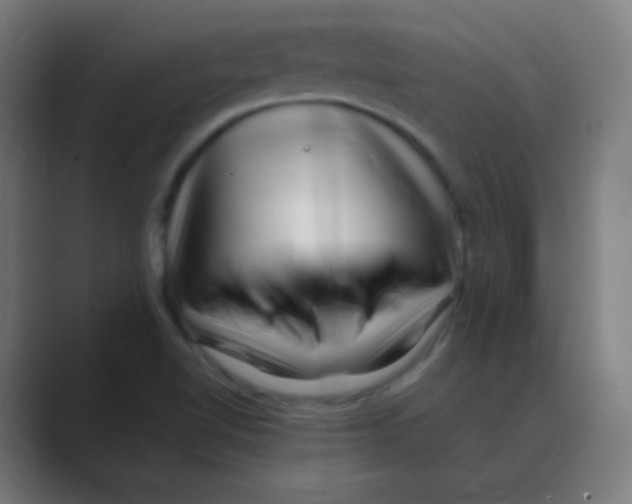 X0000088461510200706191320