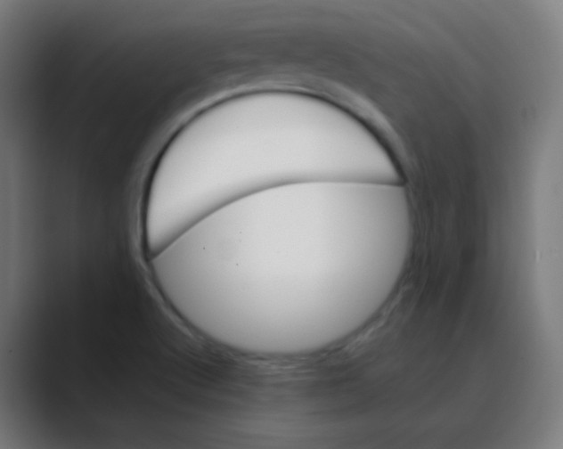 X0000088461512200706191320