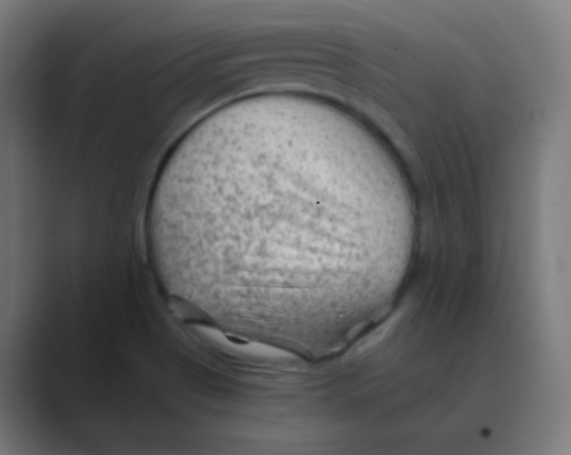 X0000088461513200706191320