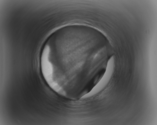 X0000088461515200706191320