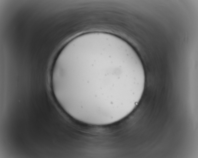 X0000088461517200706191320