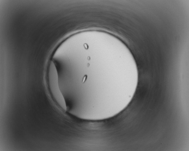 X0000088461518200706191320