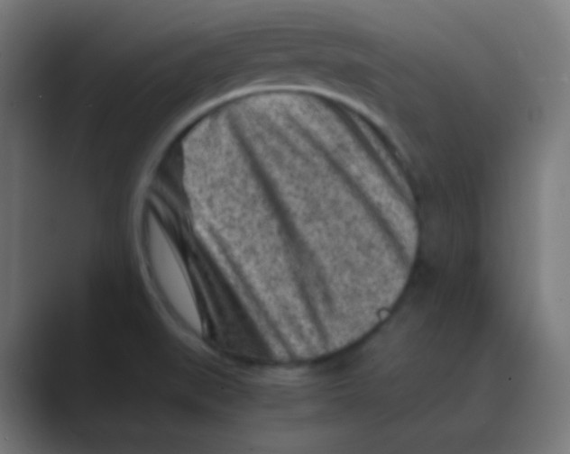 X0000088461519200706191320