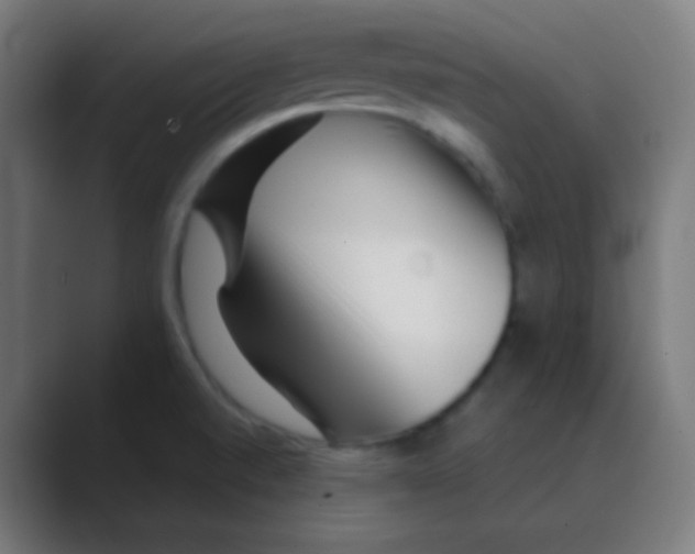 X0000088461520200706191320