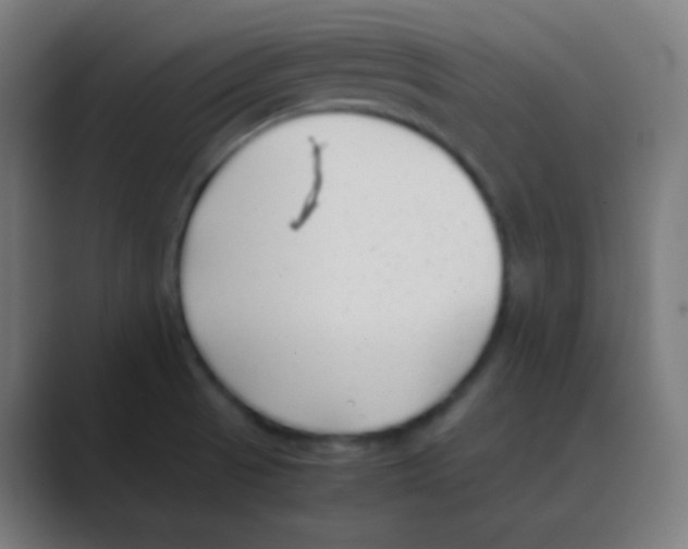 X0000088461521200706191320