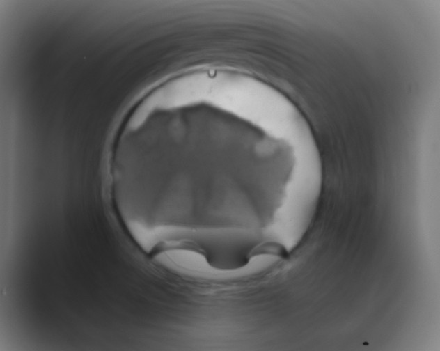 X0000088461522200706191320