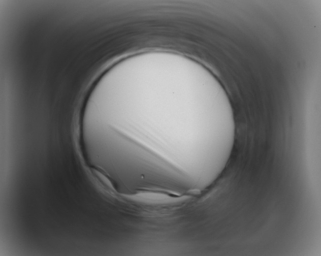 X0000088461523200706191320